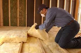 Best Insulation Removal  in Arcola, TX