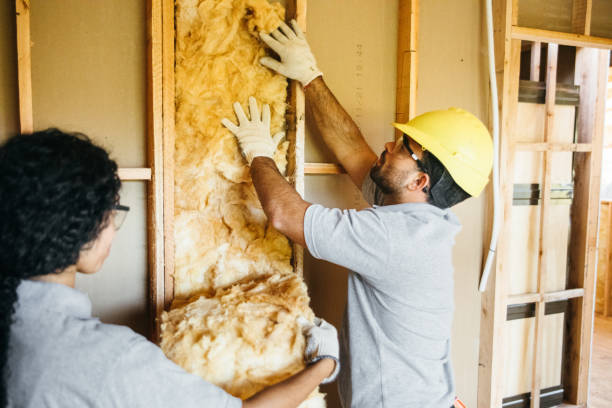 Types of Insulation We Offer in Arcola, TX